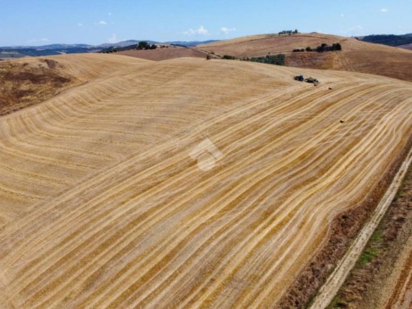 terreno agricolo in vendita a Tarquinia