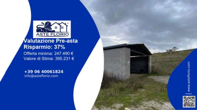 locale commerciale in vendita a Tarquinia