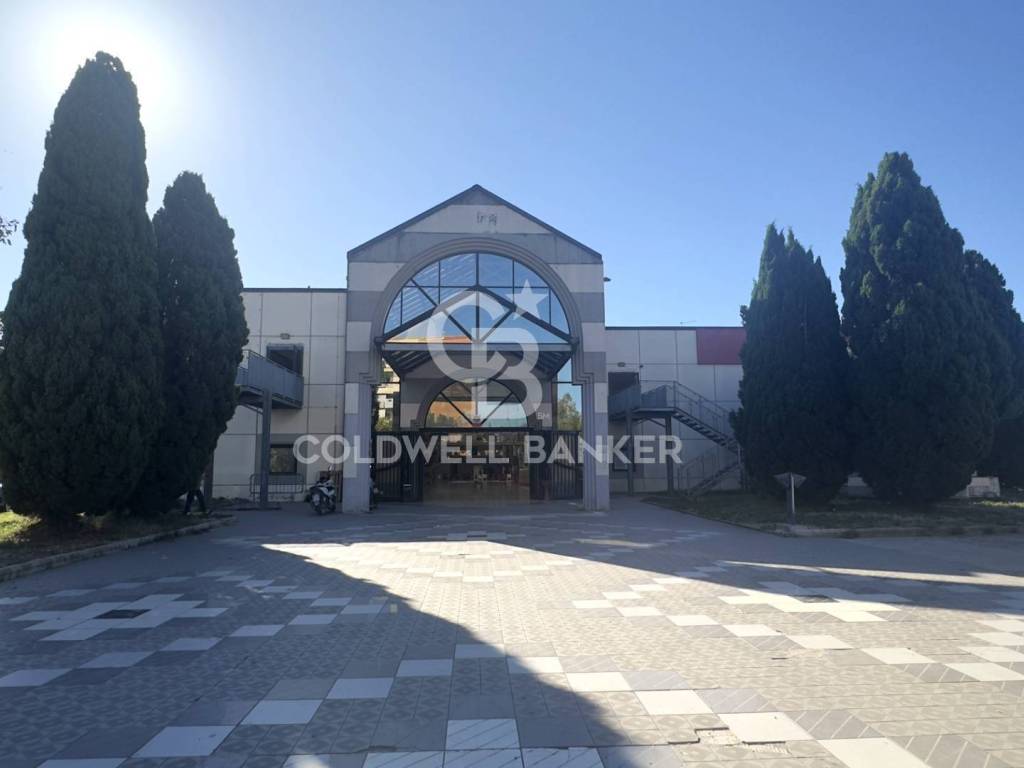 negozio in vendita a Tarquinia