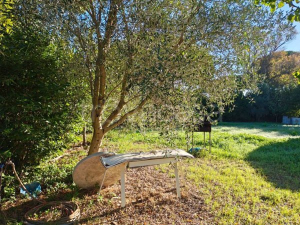 terreno agricolo in vendita a Tarquinia