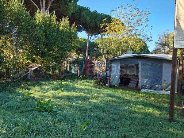 terreno agricolo in vendita a Tarquinia
