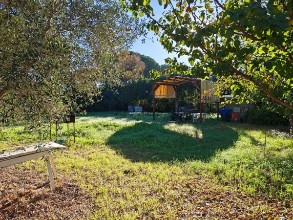 terreno agricolo in vendita a Tarquinia