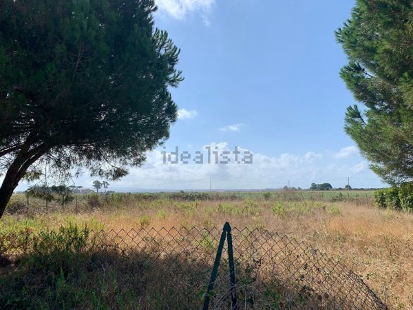 terreno agricolo in vendita a Tarquinia