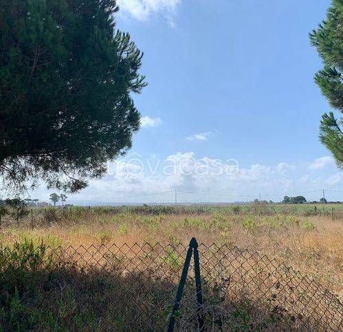 terreno agricolo in vendita a Tarquinia