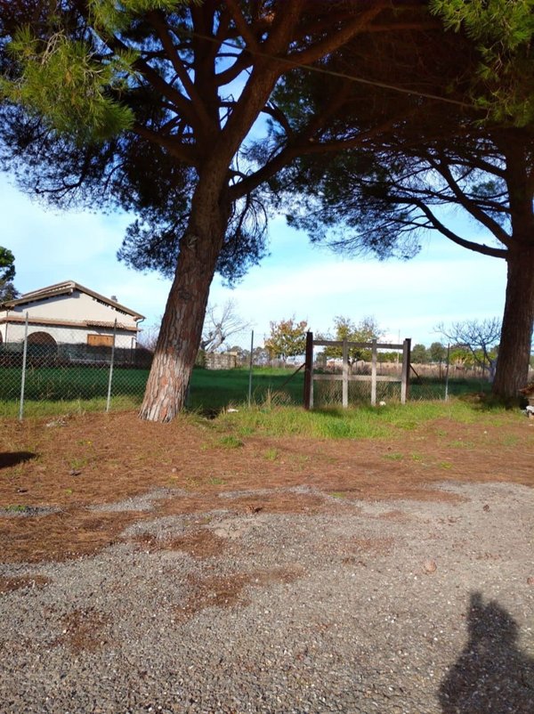 terreno agricolo in vendita a Tarquinia