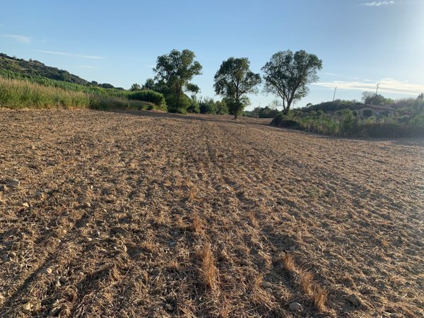 terreno agricolo in vendita a Tarquinia