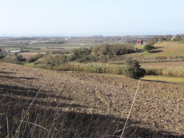 terreno agricolo in vendita a Tarquinia