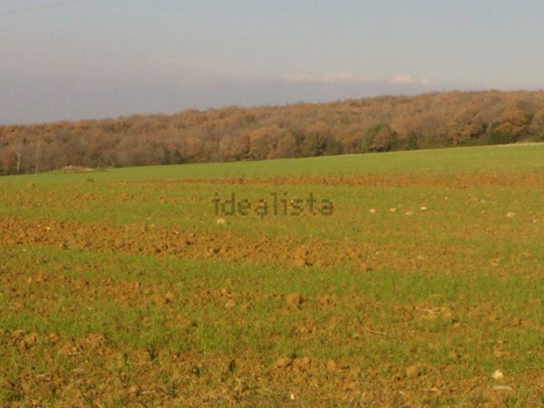 terreno agricolo in vendita a Tarquinia