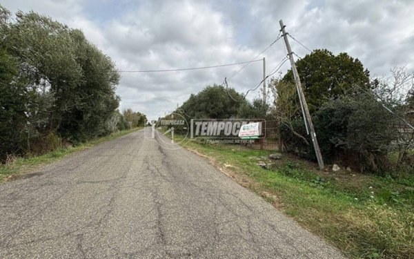 locale commerciale in vendita a Tarquinia