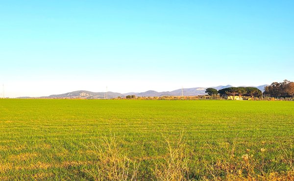 terreno industriale in vendita a Tarquinia