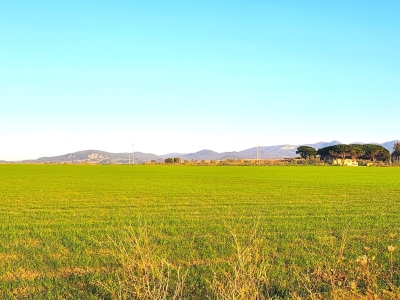 terreno agricolo in vendita a Tarquinia