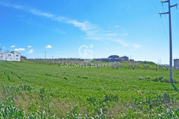 terreno agricolo in vendita a Tarquinia