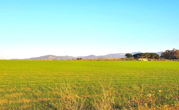 appartamento in vendita a Tarquinia