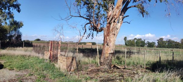 terreno edificabile in vendita a Tarquinia