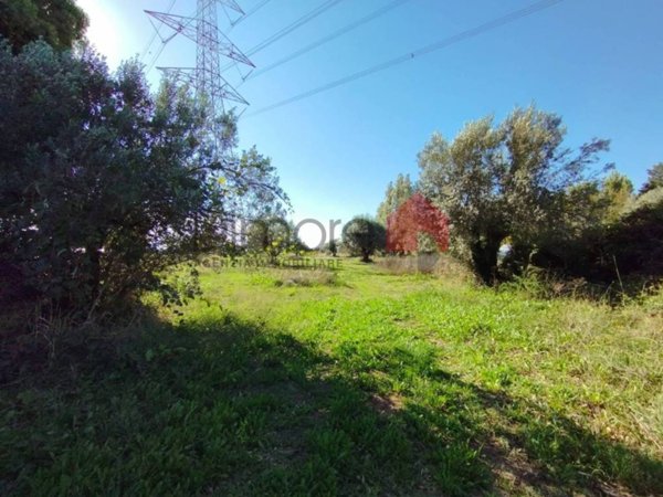 terreno agricolo in vendita a Tarquinia