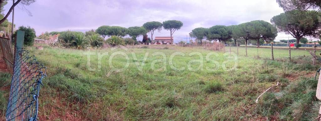 terreno agricolo in vendita a Tarquinia