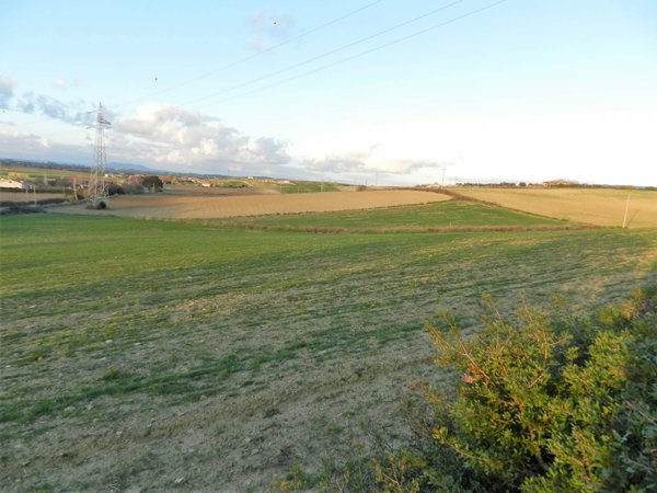terreno agricolo in vendita a Tarquinia