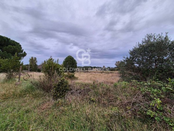 terreno agricolo in vendita a Tarquinia