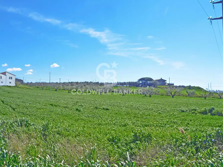 terreno agricolo in vendita a Tarquinia