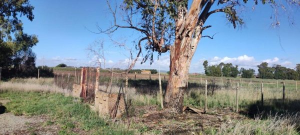 terreno edificabile in vendita a Tarquinia