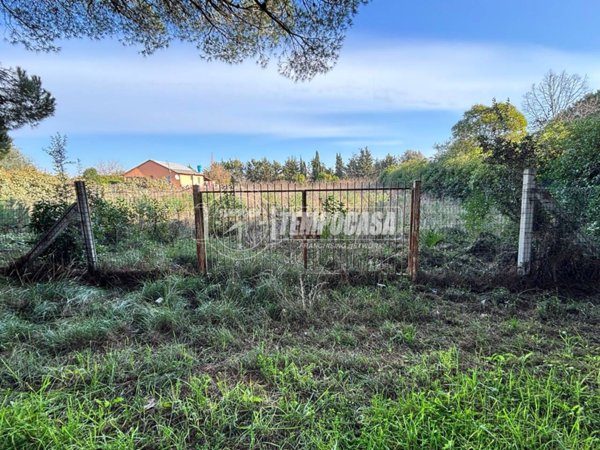 terreno agricolo in vendita a Tarquinia