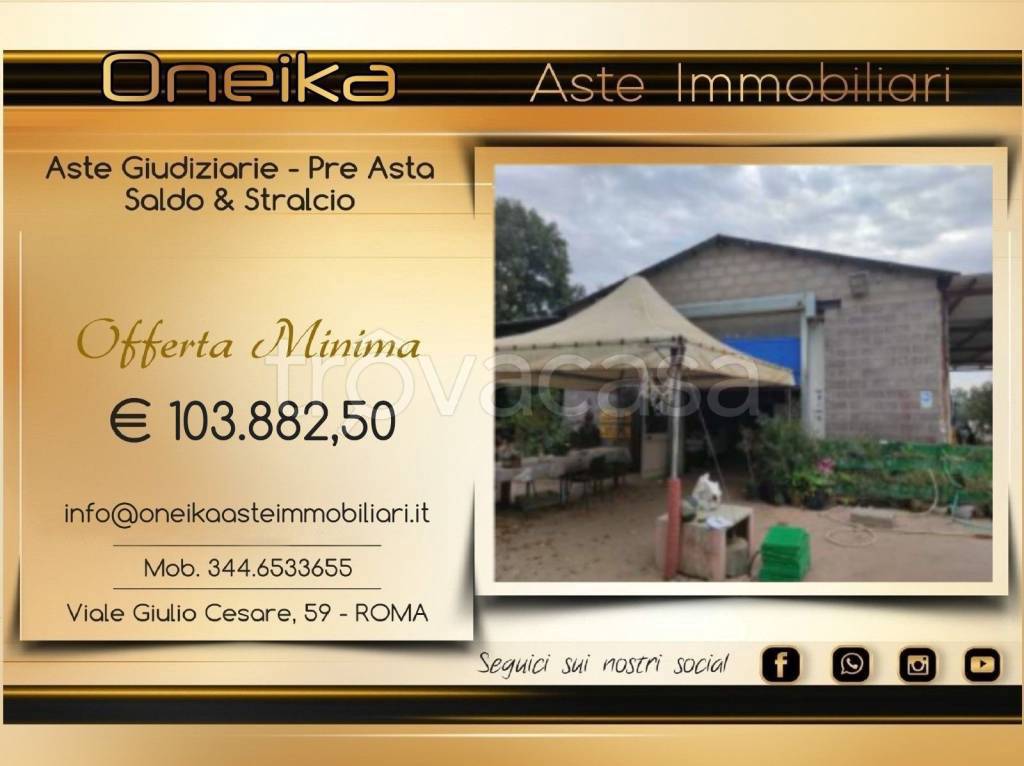 appartamento in vendita a Tarquinia