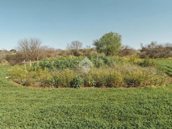 terreno agricolo in vendita a Tarquinia
