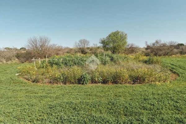 terreno agricolo in vendita a Tarquinia