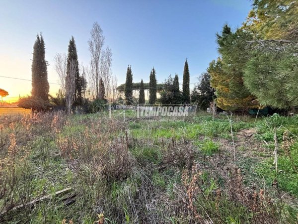 terreno agricolo in vendita a Tarquinia