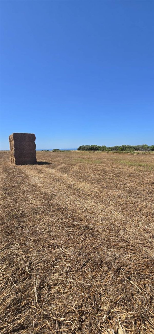 casa indipendente in vendita a Tarquinia