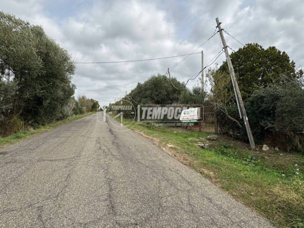 locale commerciale in vendita a Tarquinia