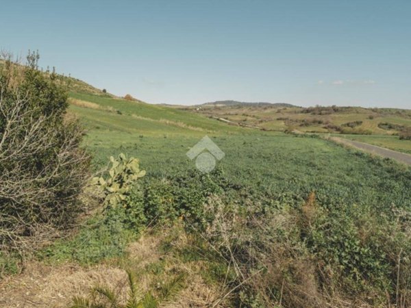 terreno agricolo in vendita a Tarquinia