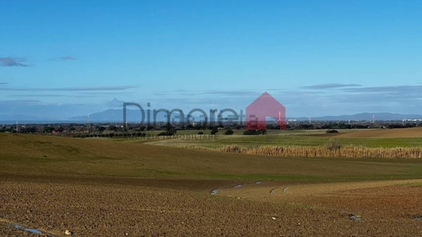 terreno agricolo in vendita a Tarquinia