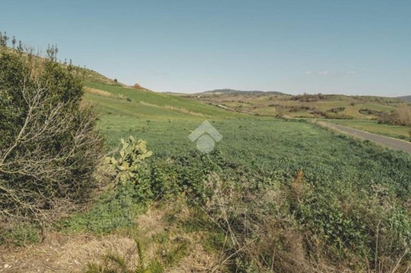 terreno agricolo in vendita a Tarquinia