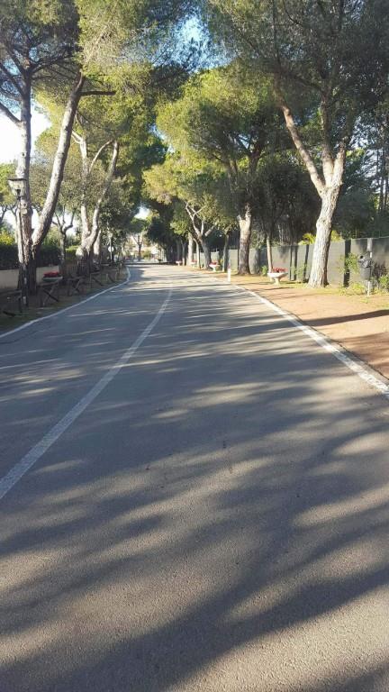 appartamento in vendita a Tarquinia