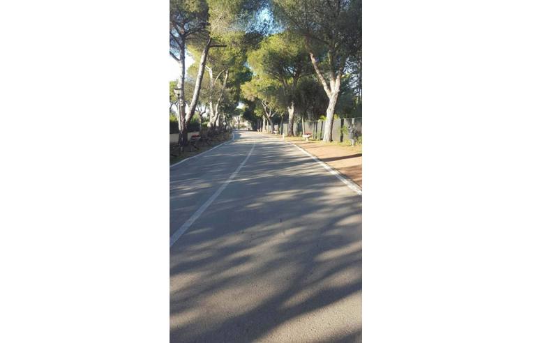 appartamento in vendita a Tarquinia