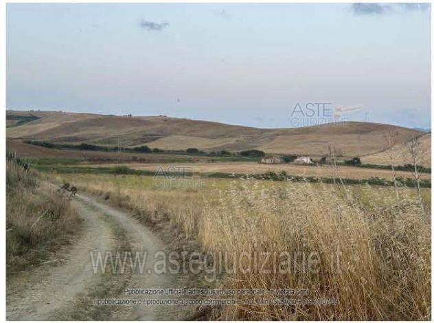 terreno agricolo in vendita a Tarquinia