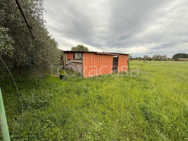 terreno agricolo in vendita a Tarquinia