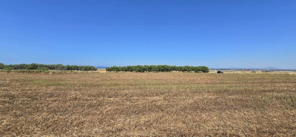 casa indipendente in vendita a Tarquinia