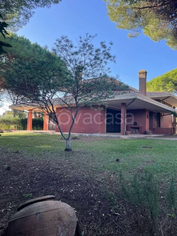 casa indipendente in vendita a Tarquinia in zona Marina Velca