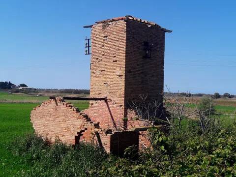 terreno agricolo in vendita a Tarquinia