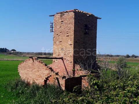 terreno agricolo in vendita a Tarquinia