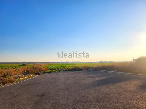 capannone in vendita a Tarquinia
