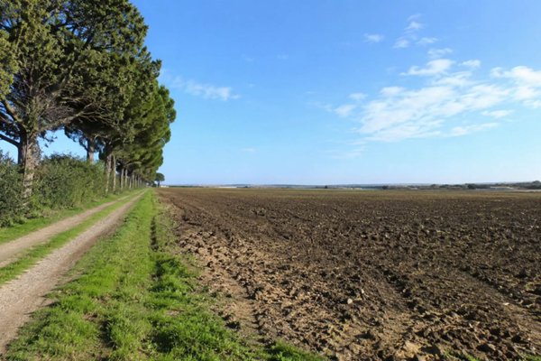 casa indipendente in vendita a Tarquinia