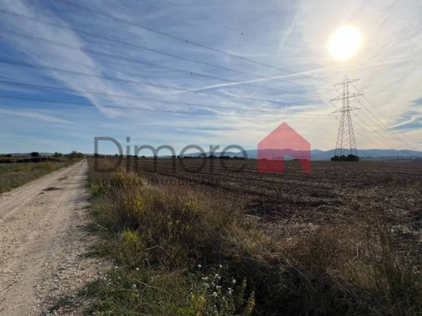 terreno agricolo in vendita a Tarquinia