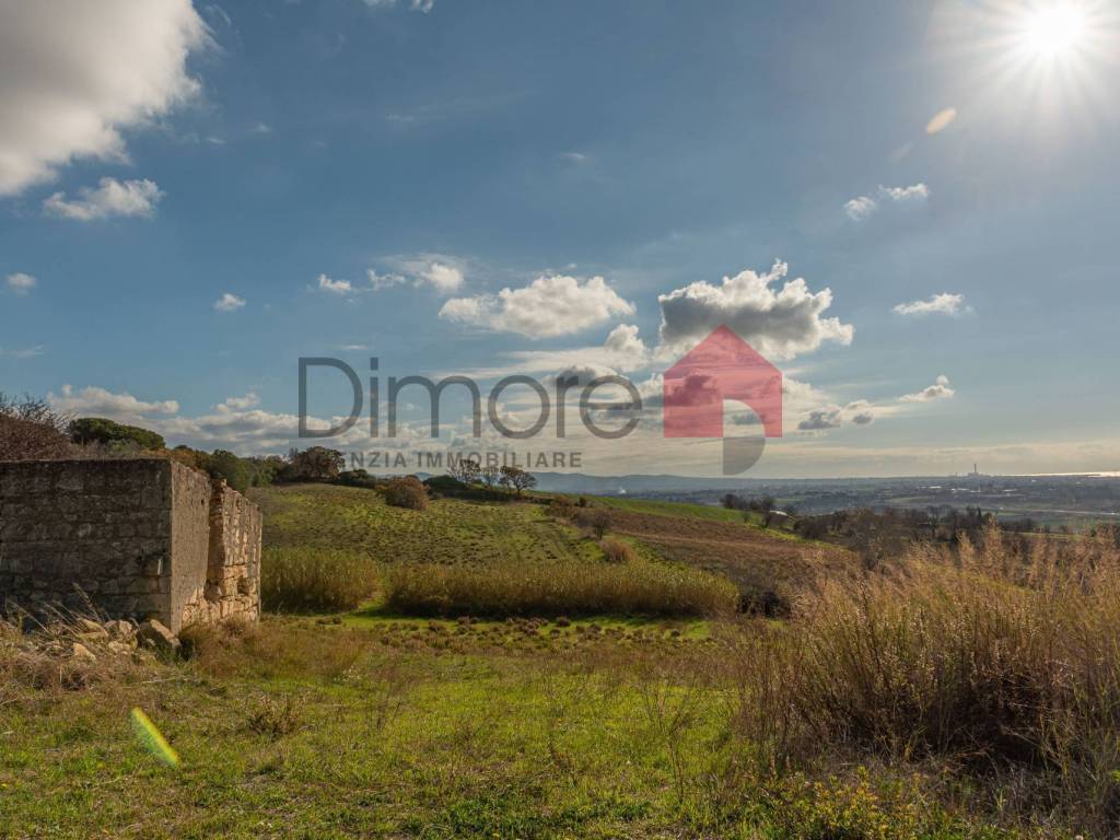 terreno agricolo in vendita a Tarquinia