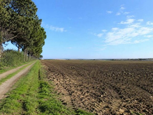 terreno agricolo in vendita a Tarquinia