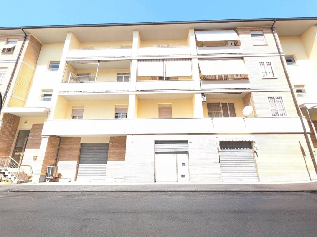 negozio in vendita a Tarquinia