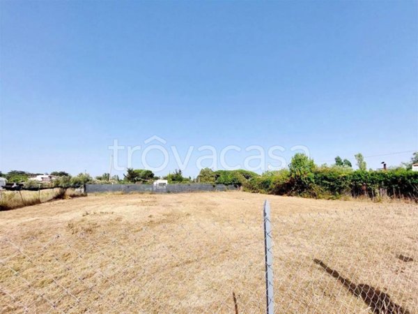 terreno agricolo in vendita a Tarquinia