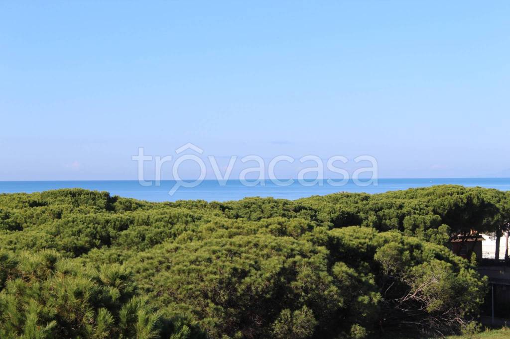 appartamento in vendita a Tarquinia in zona Marina Velca